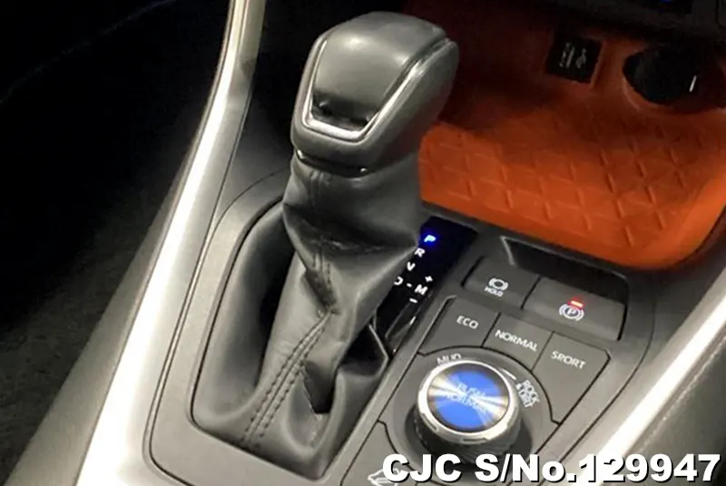 2024 Toyota / Rav4 Stock No. 129947