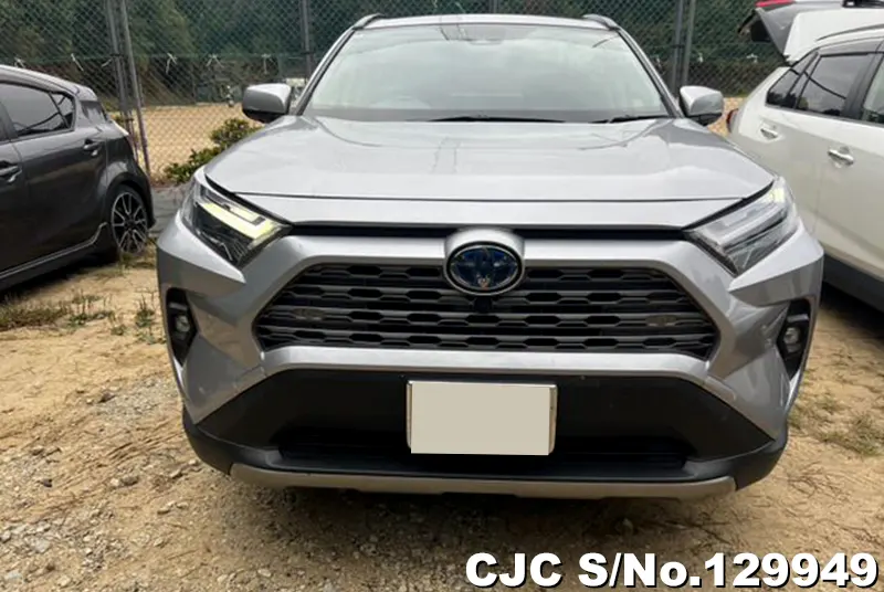2024 Toyota / Rav4 Stock No. 129949