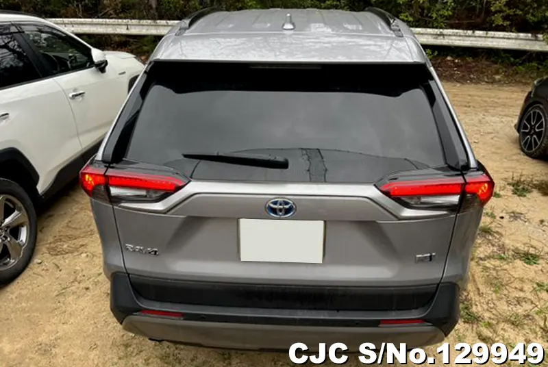 2024 Toyota / Rav4 Stock No. 129949