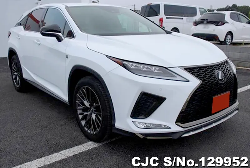 2020 Lexus / RX 300 Stock No. 129952