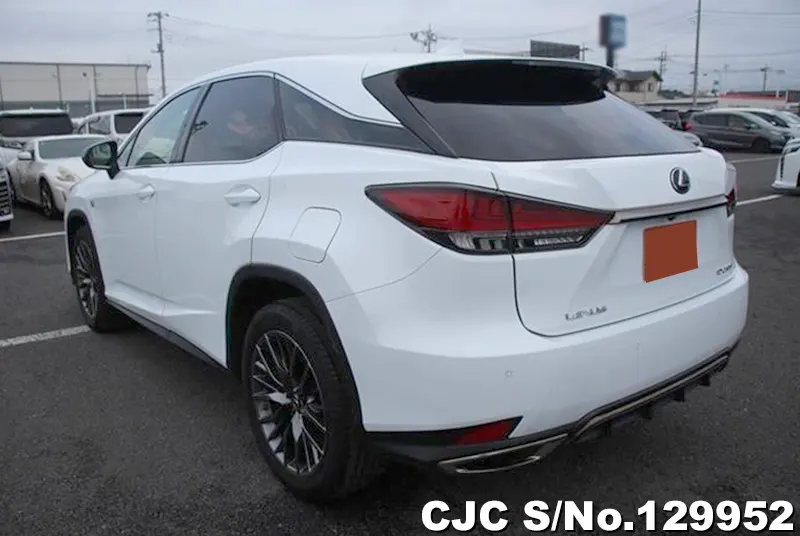 2020 Lexus / RX 300 Stock No. 129952