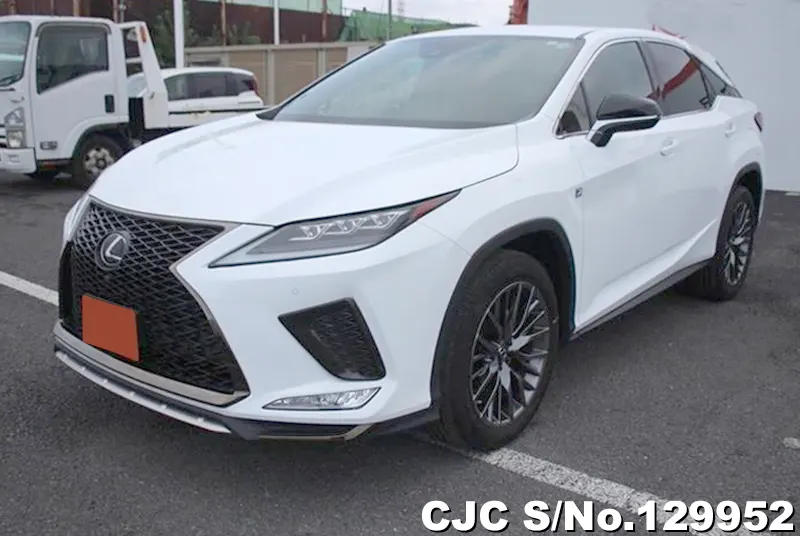 2020 Lexus / RX 300 Stock No. 129952