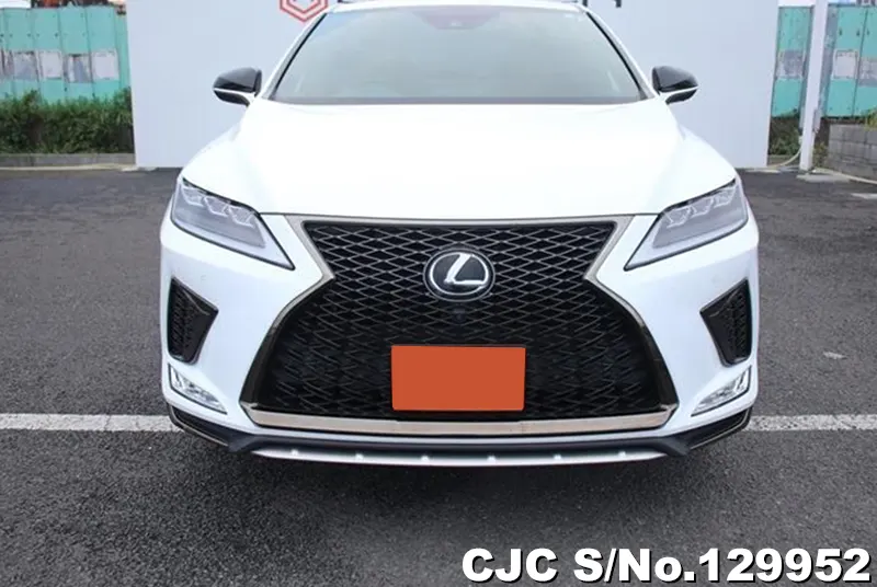 2020 Lexus / RX 300 Stock No. 129952