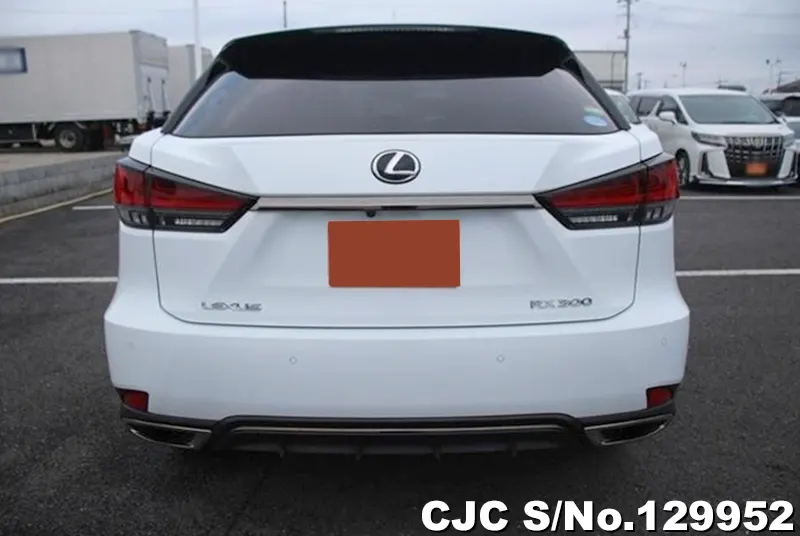 2020 Lexus / RX 300 Stock No. 129952