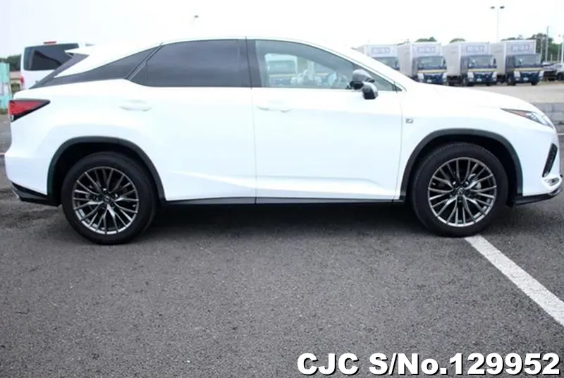 2020 Lexus / RX 300 Stock No. 129952