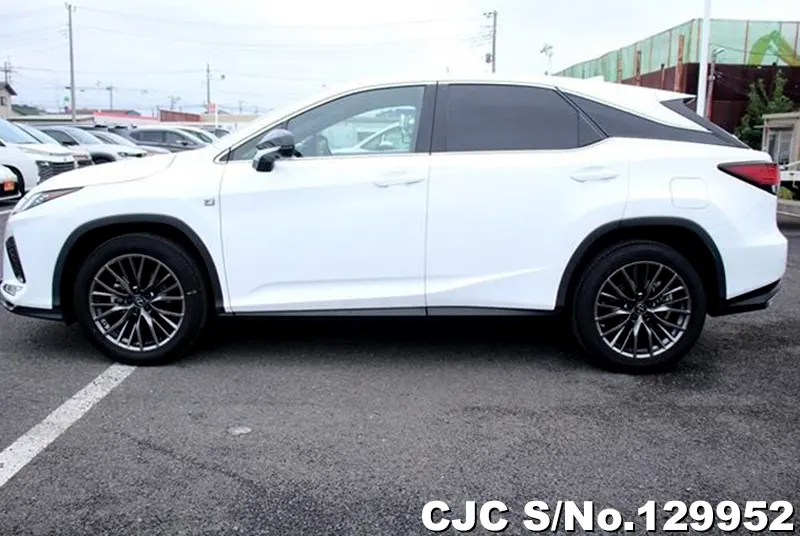 2020 Lexus / RX 300 Stock No. 129952