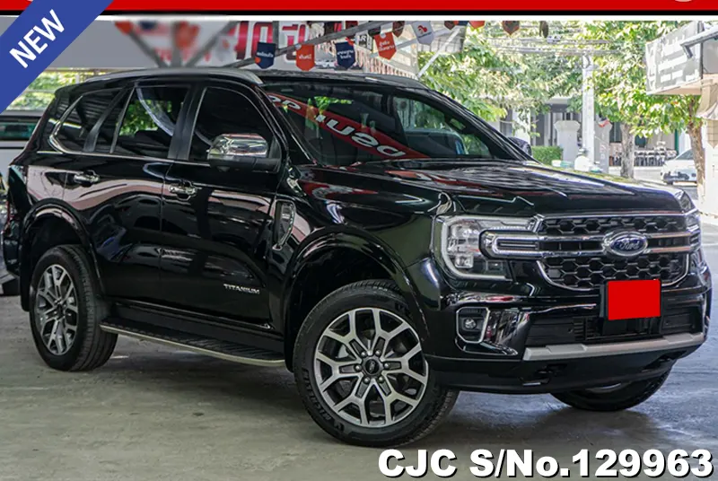 2022 Ford / Everest Stock No. 129963