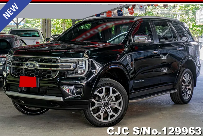 2022 Ford / Everest Stock No. 129963