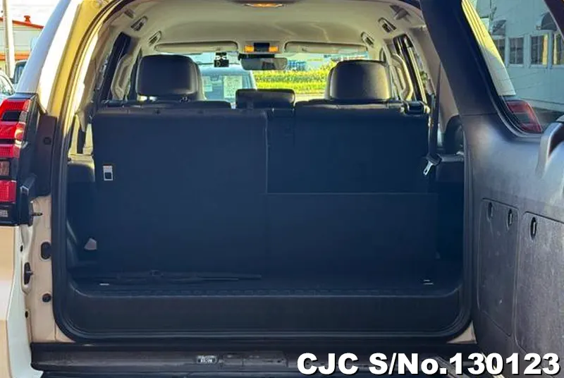 2020 Toyota / Land Cruiser Prado Stock No. 130123