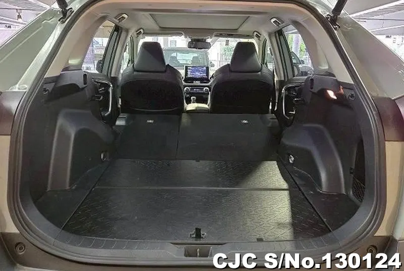 2020 Toyota / Rav4 Stock No. 130124