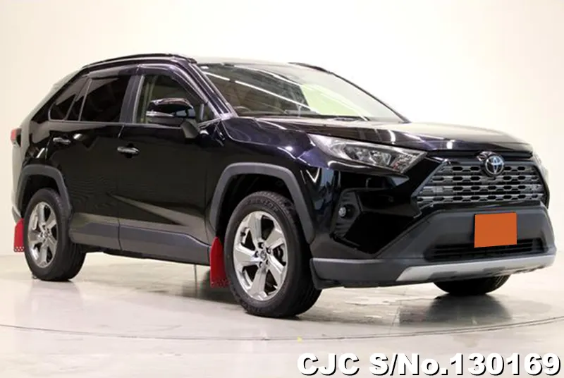 2019 Toyota / Rav4 Stock No. 130169