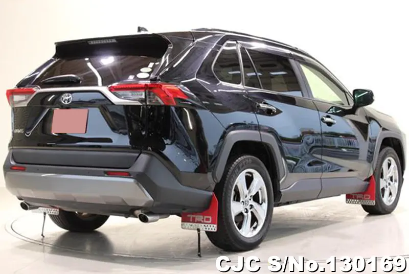 2019 Toyota / Rav4 Stock No. 130169