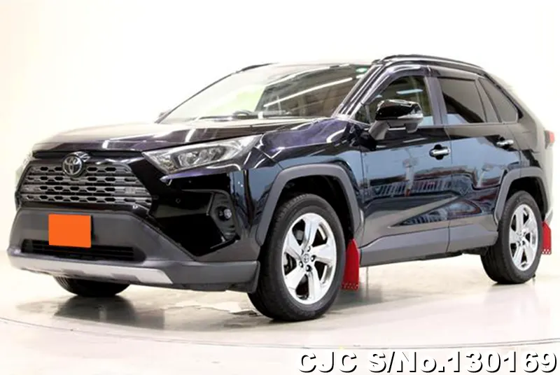 2019 Toyota / Rav4 Stock No. 130169