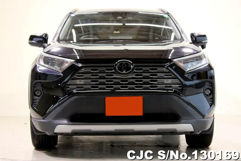 2019 Toyota / Rav4 Stock No. 130169