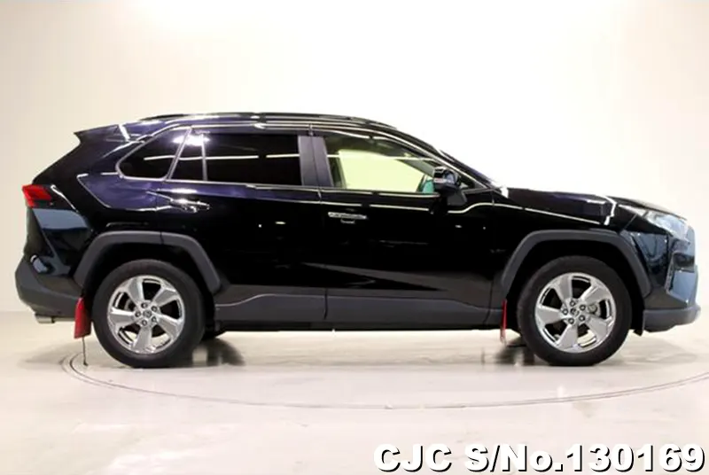 2019 Toyota / Rav4 Stock No. 130169