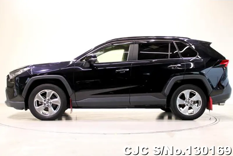 2019 Toyota / Rav4 Stock No. 130169