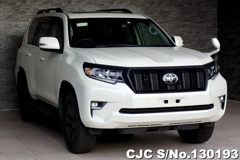 2019 Toyota / Land Cruiser Prado Stock No. 130193