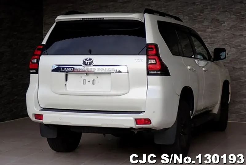 2019 Toyota / Land Cruiser Prado Stock No. 130193
