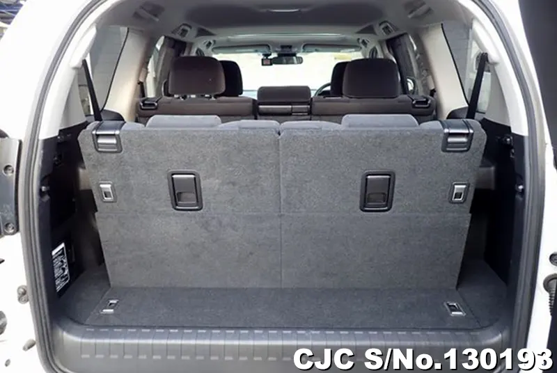2019 Toyota / Land Cruiser Prado Stock No. 130193