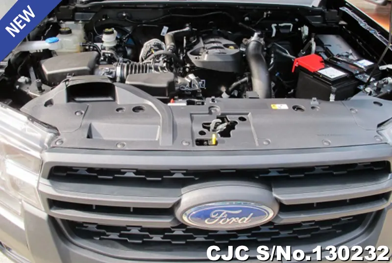 2023 Ford / Ranger Stock No. 130232