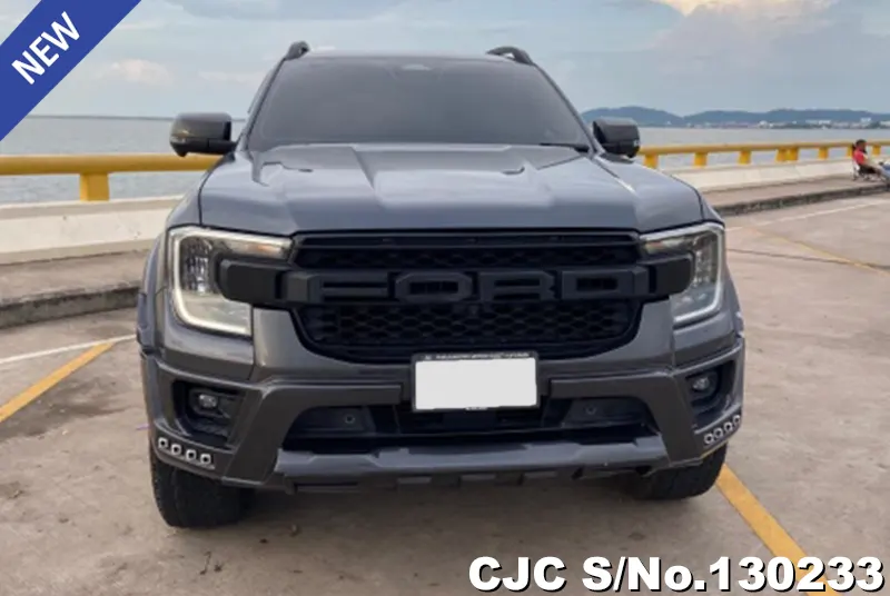 Ford Ranger in Gray for Sale Image 2