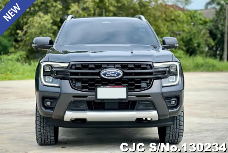 Ford Ranger in Gray for Sale Image 4