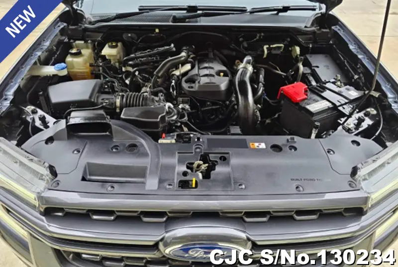 2022 Ford / Ranger Stock No. 130234