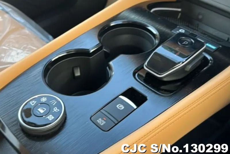 2025 Nissan / X-Trail Stock No. 130299