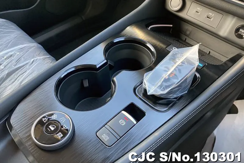 2025 Nissan / X-Trail Stock No. 130301