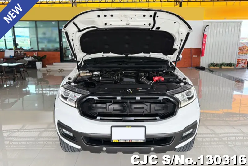 2020 Ford / Everest Stock No. 130316