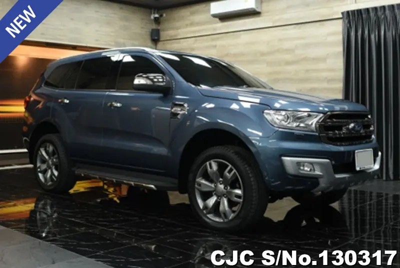2017 Ford / Everest Stock No. 130317