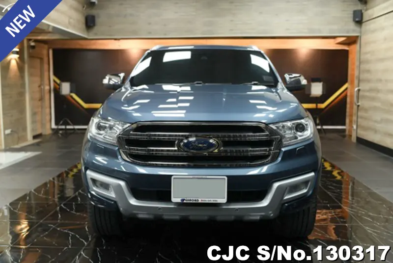 2017 Ford / Everest Stock No. 130317