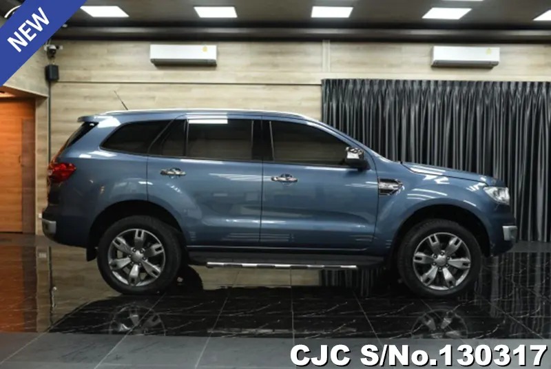 2017 Ford / Everest Stock No. 130317