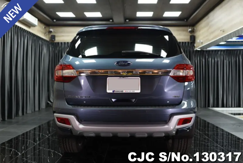 2017 Ford / Everest Stock No. 130317