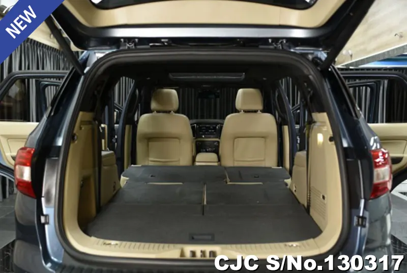 2017 Ford / Everest Stock No. 130317