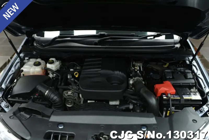 2017 Ford / Everest Stock No. 130317