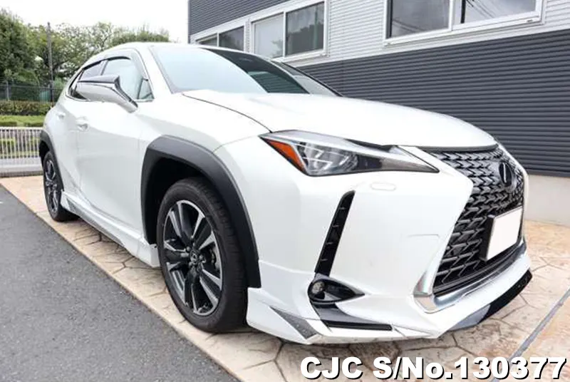 2025 Lexus / UX 300e Stock No. 130377
