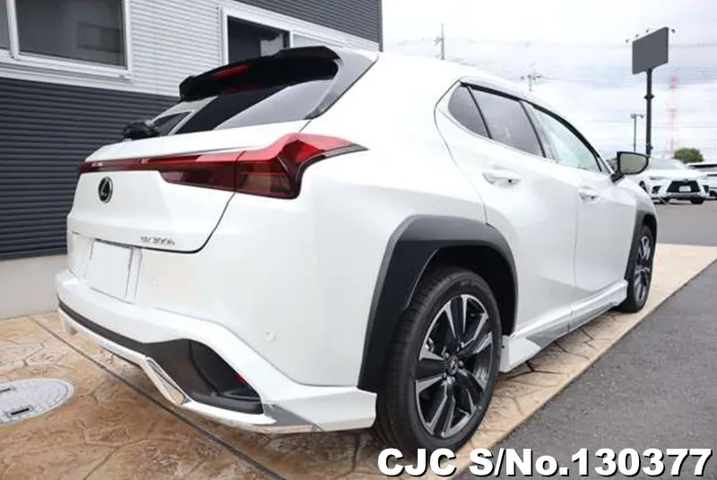 2025 Lexus / UX 300e Stock No. 130377