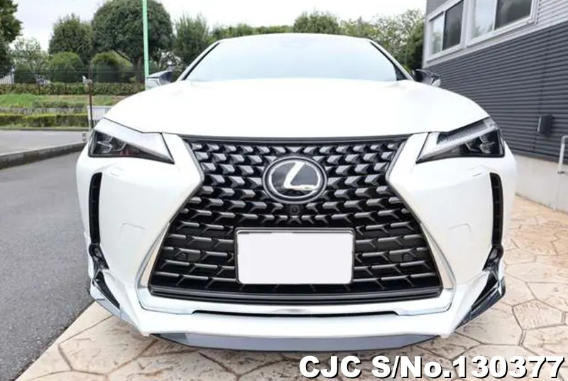 2025 Lexus / UX 300e Stock No. 130377