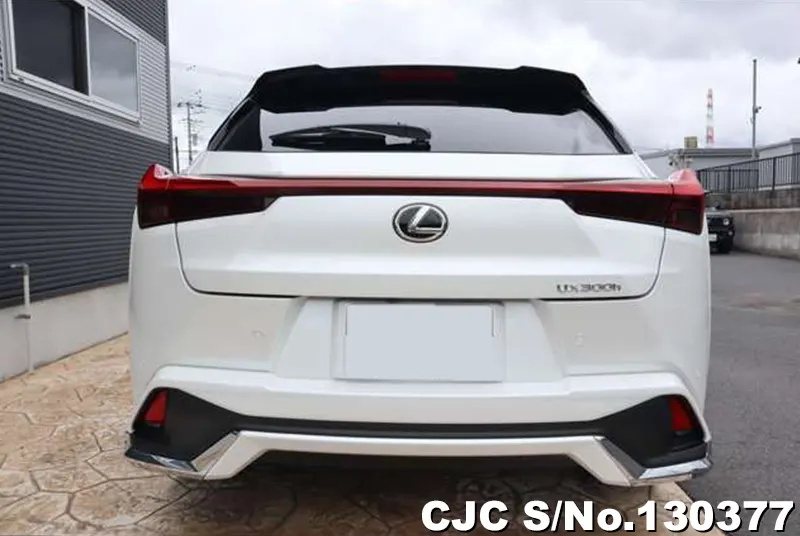 2025 Lexus / UX 300e Stock No. 130377
