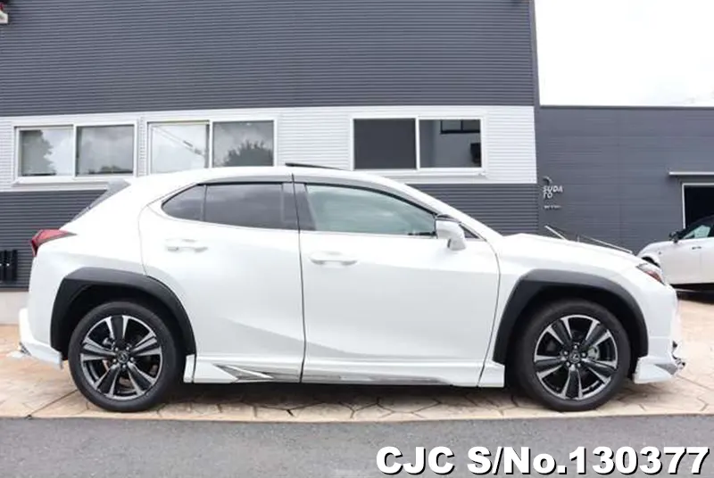 2025 Lexus / UX 300e Stock No. 130377