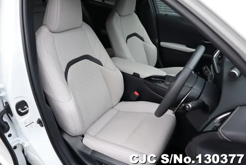 2025 Lexus / UX 300e Stock No. 130377