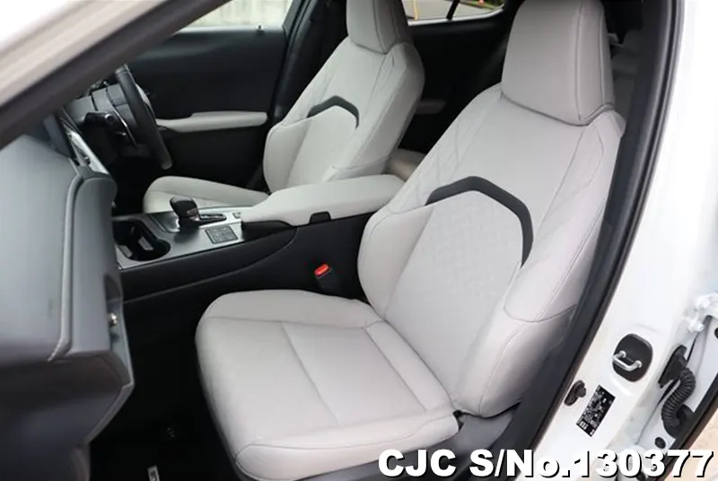 2025 Lexus / UX 300e Stock No. 130377