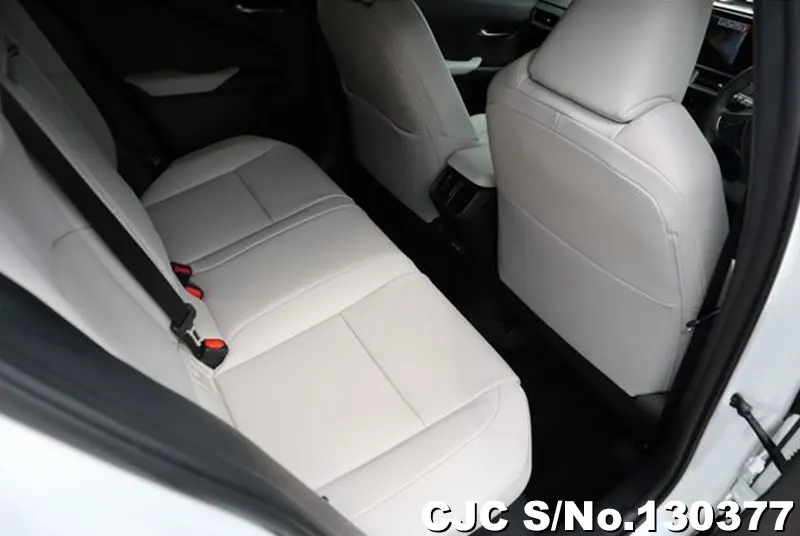 2025 Lexus / UX 300e Stock No. 130377