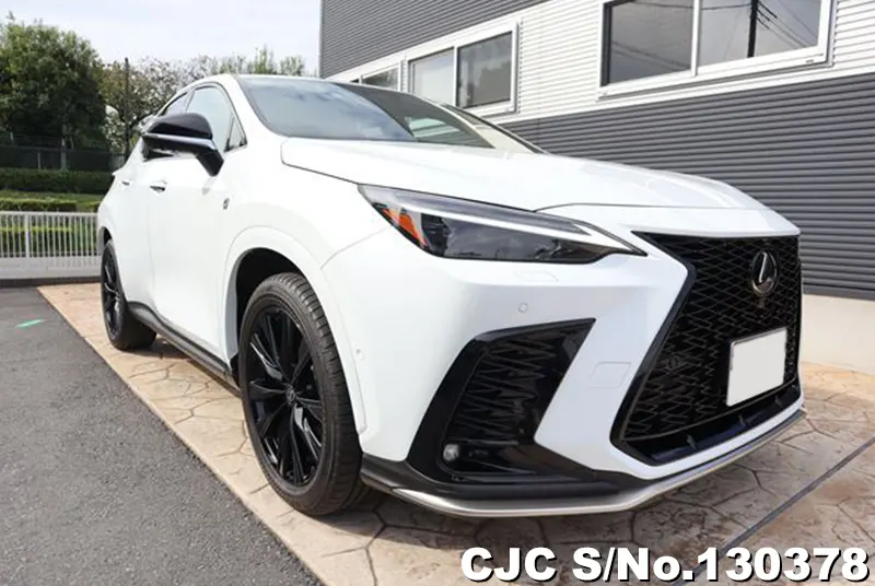 2025 Lexus / NX 350H AAZH20