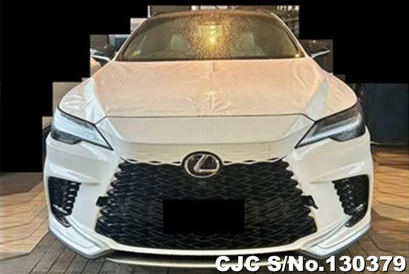 2025 Lexus / RX 350 Stock No. 130379