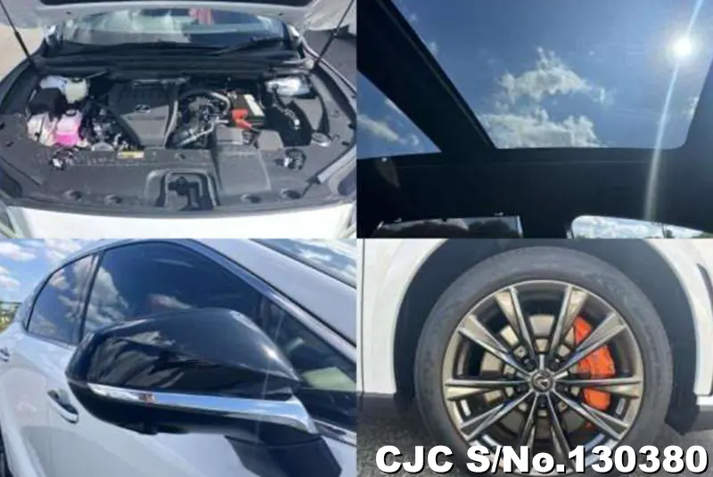 2025 Lexus / RX 350 Stock No. 130380