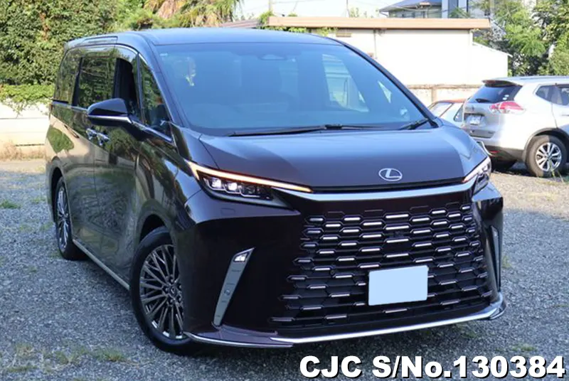 2025 Lexus / LM500h TAWH15