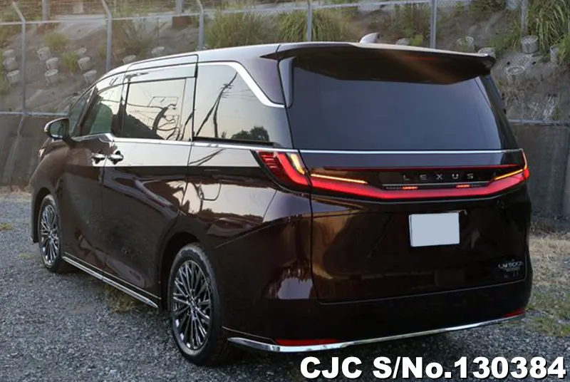 2025 Lexus / LM500h Stock No. 130384