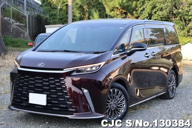 2025 Lexus / LM500h Stock No. 130384